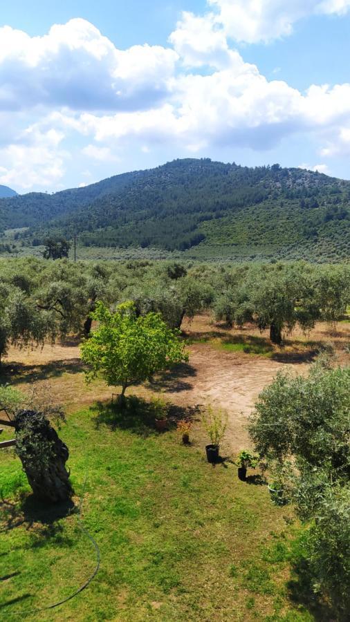 Villa Thomi Szkála Rahoníu Kültér fotó