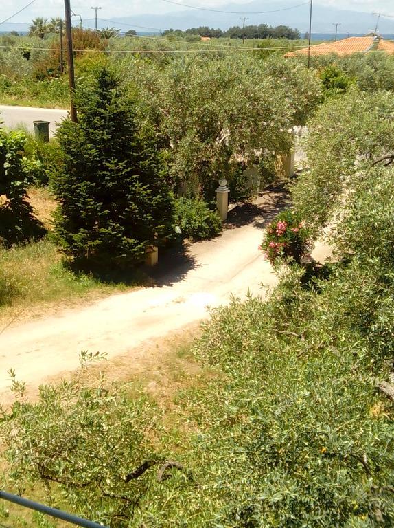 Villa Thomi Szkála Rahoníu Kültér fotó